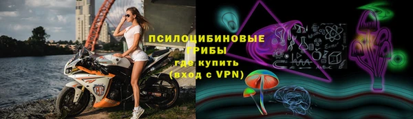 PSILOCYBIN Киреевск