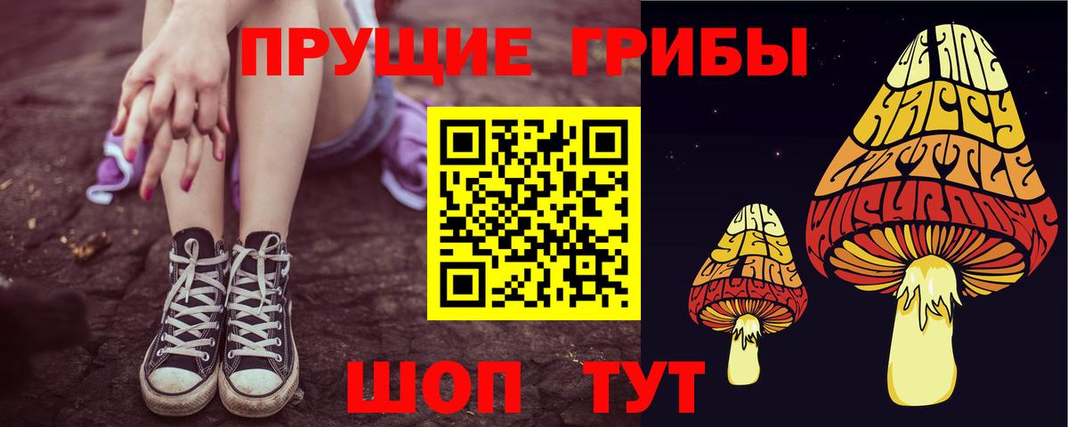 Сухой Лог  Галлюциногенные грибы ЛСД  Вход с VPN  Галлюциногенные грибы Cubensis 